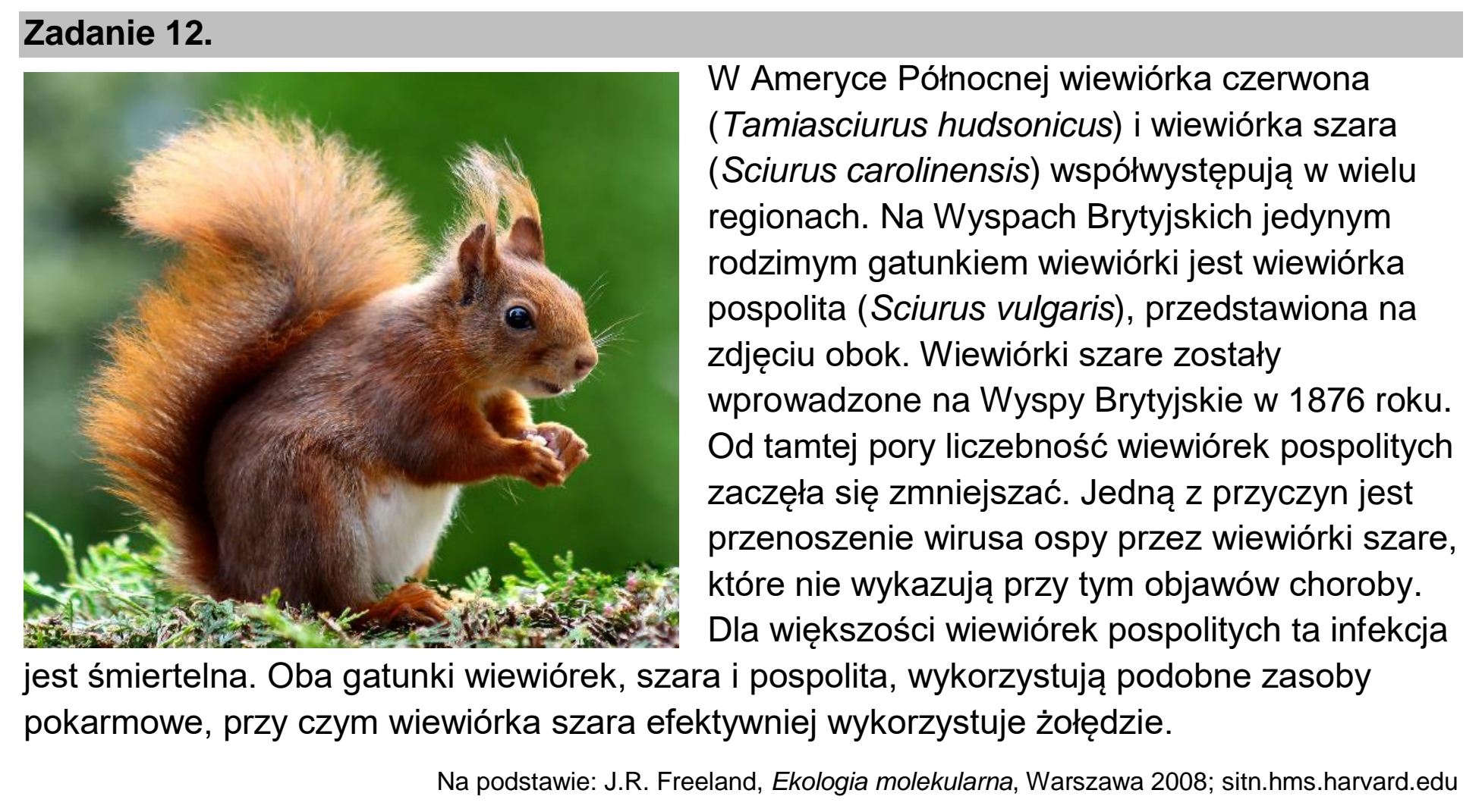 Matura, maj 2022, wstęp zadania 12