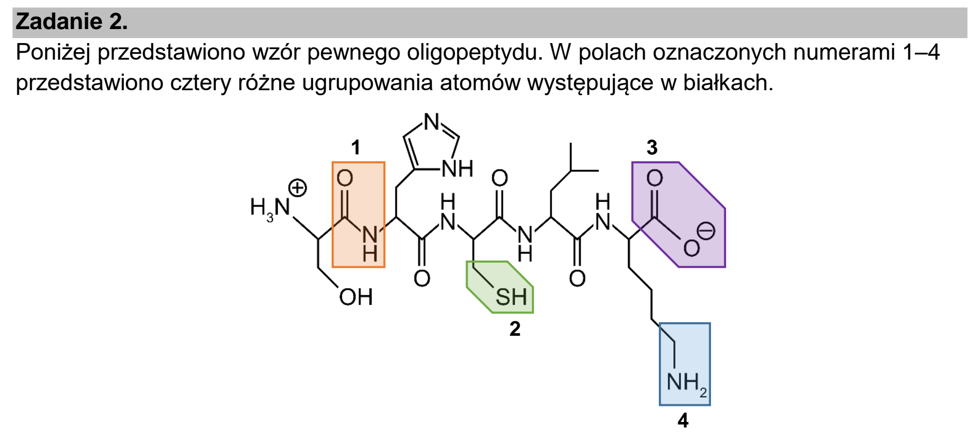 Matura, maj 2022, wstęp zadania 2