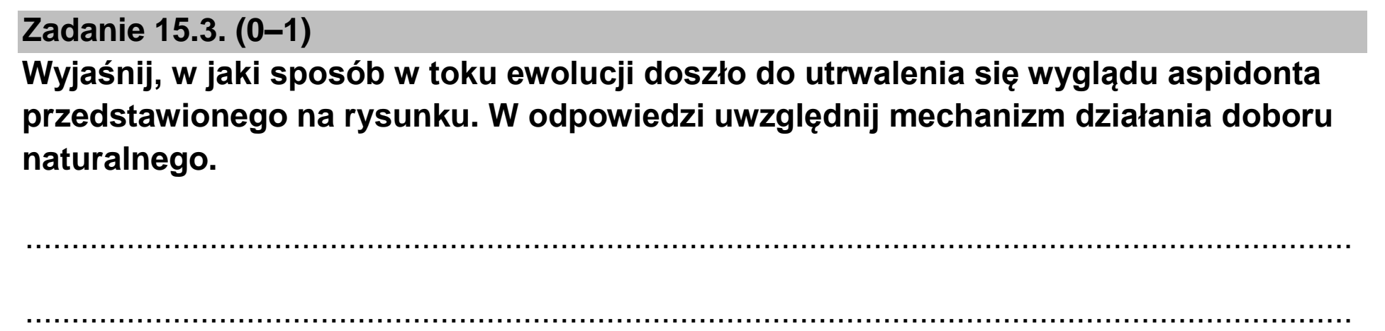Matura, maj 2023, zadanie 15.3