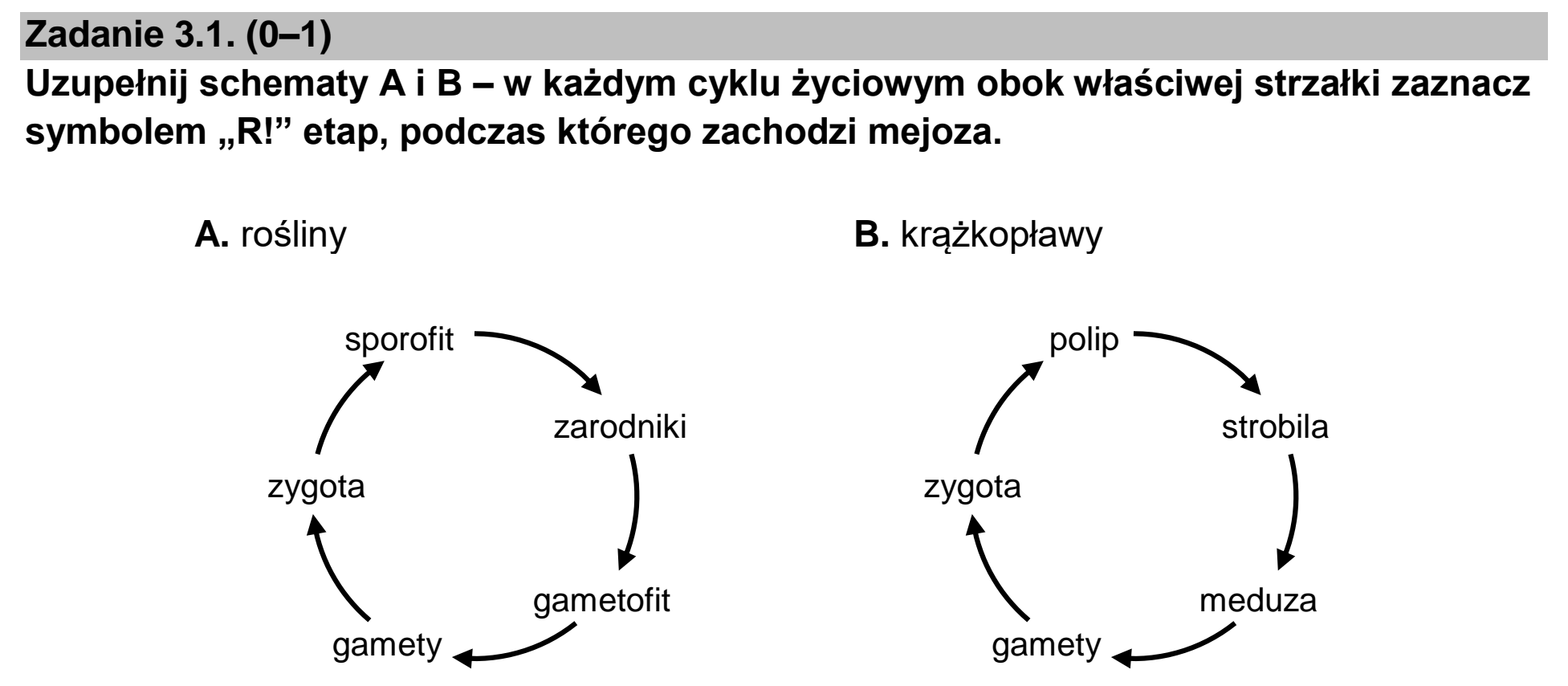 Matura, maj 2023, zadanie 3.1