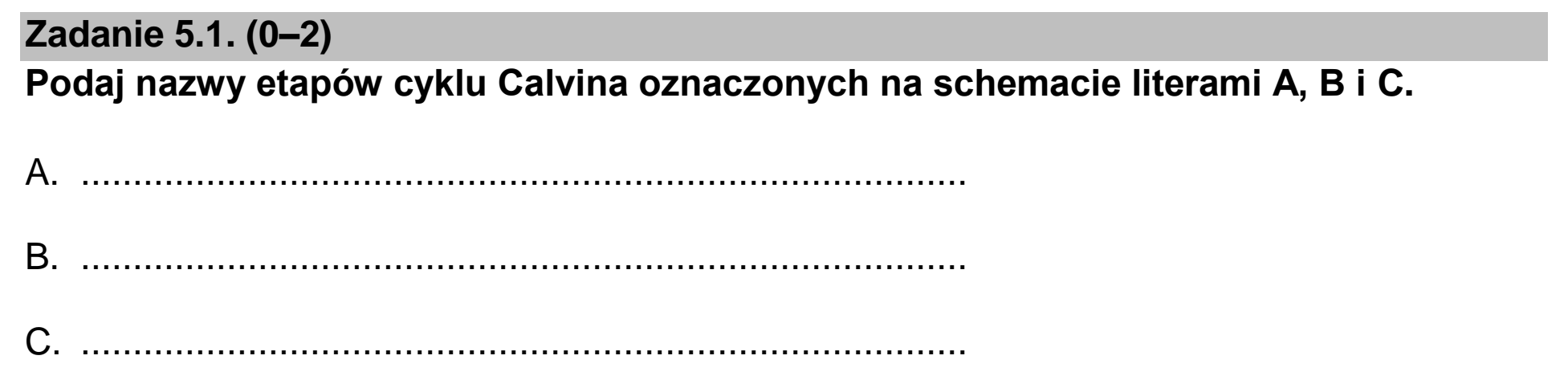 Matura, maj 2023, zadanie 5.1