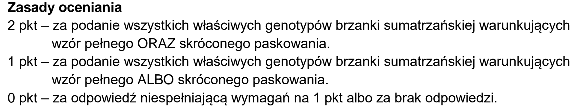 Matura, maj 2024, odpowiedź do zadania 16.1, fragment 1