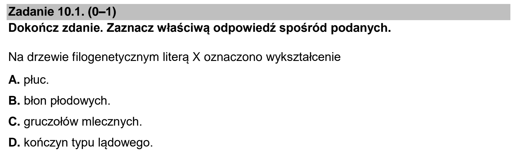 Matura, maj 2024, zadanie 10.1