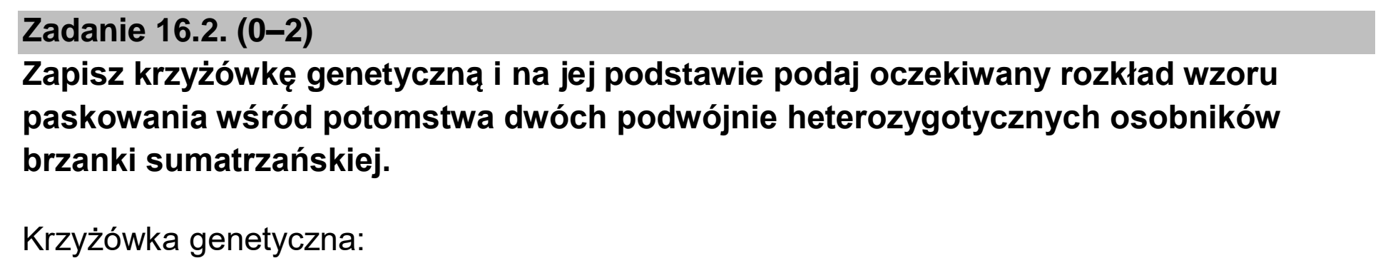 Matura, maj 2024, zadanie 16.2