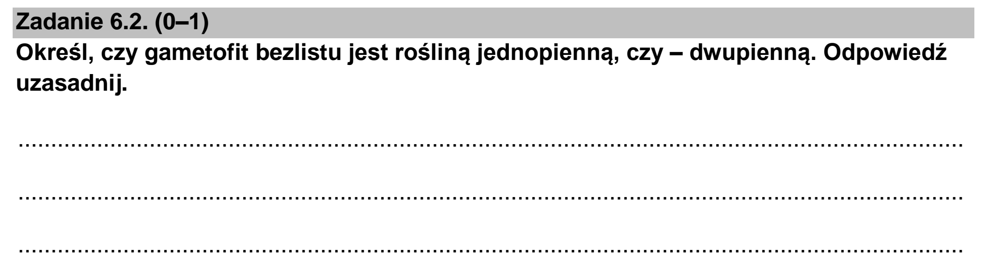 Matura, maj 2024, zadanie 6.2