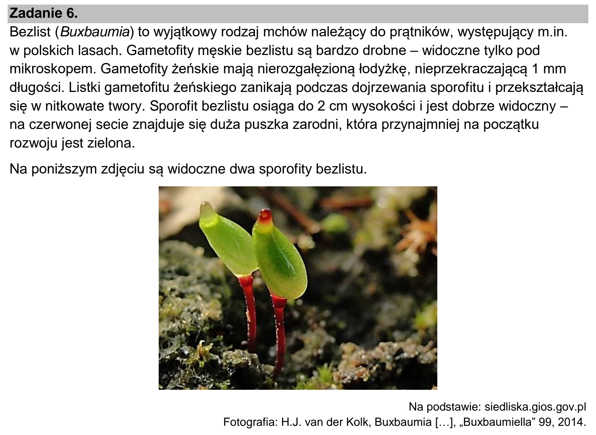 Matura, maj 2024, wstęp zadania 6