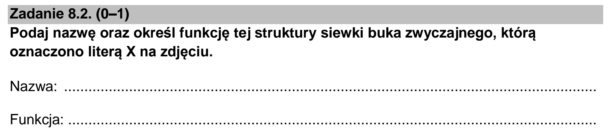 Matura, maj 2024, zadanie 8.2