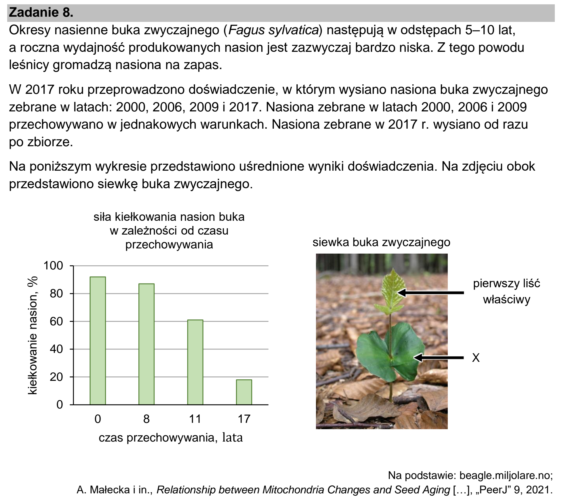 Matura, maj 2024, wstęp zadania 8
