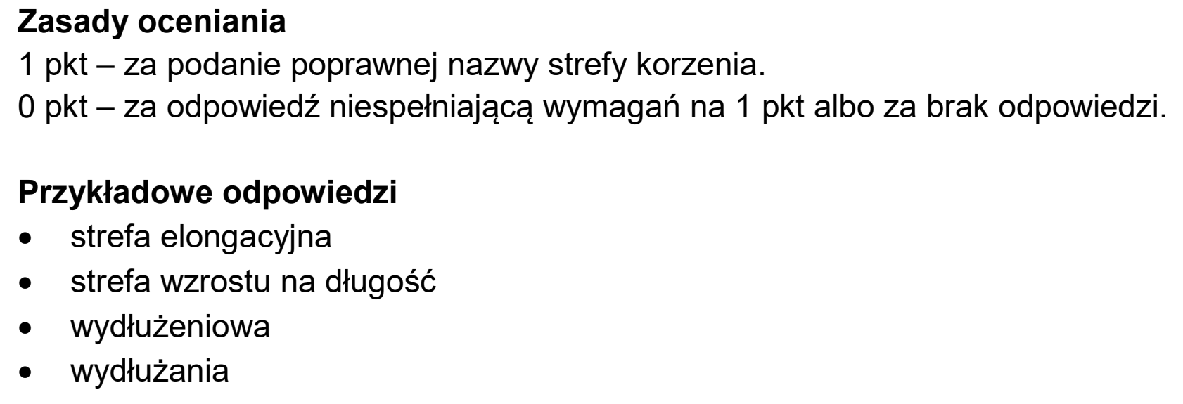 Matura, maj 2025, odpowiedź do zadania 3.2