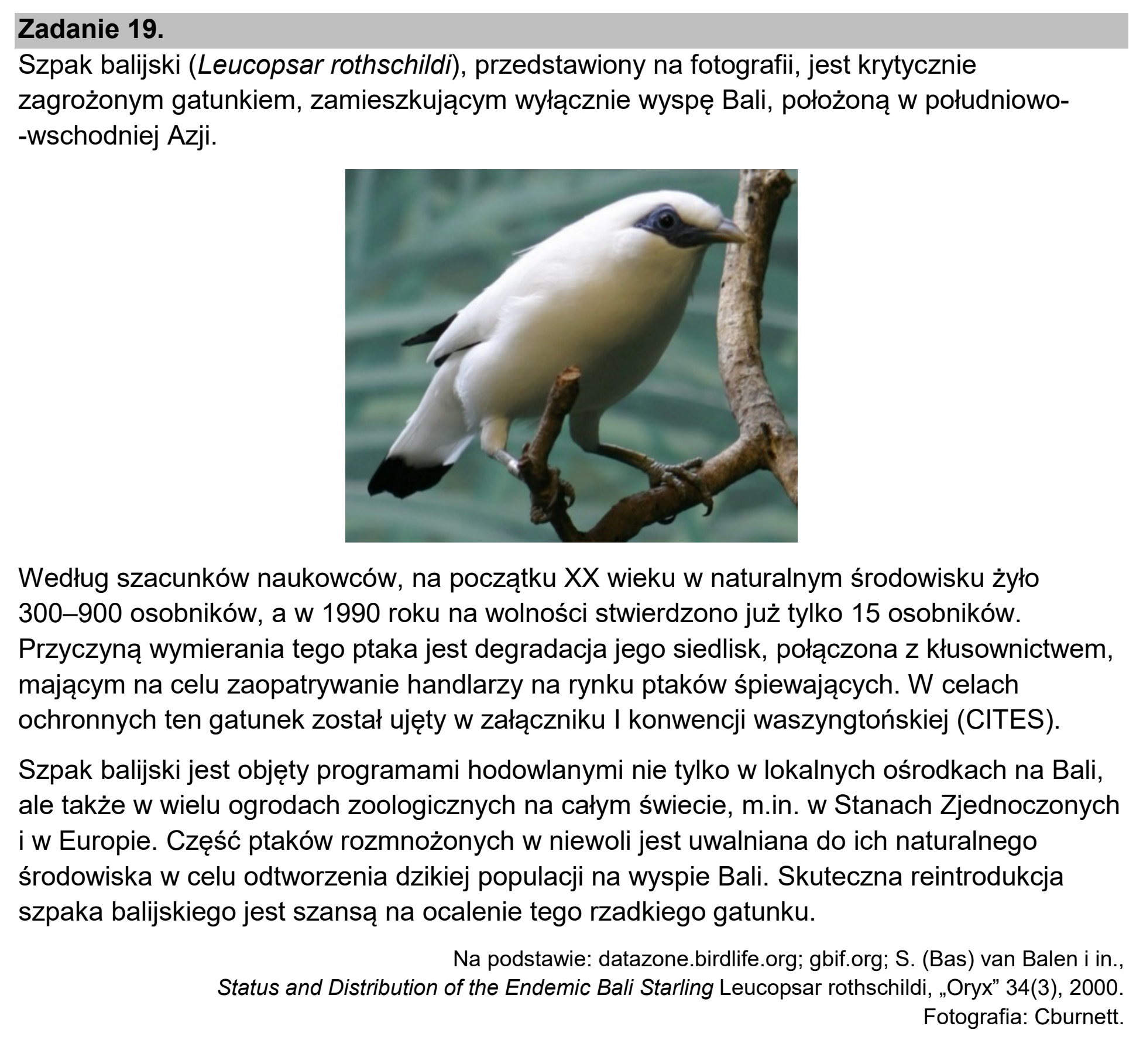 Matura, maj 2025, wstęp zadania 19