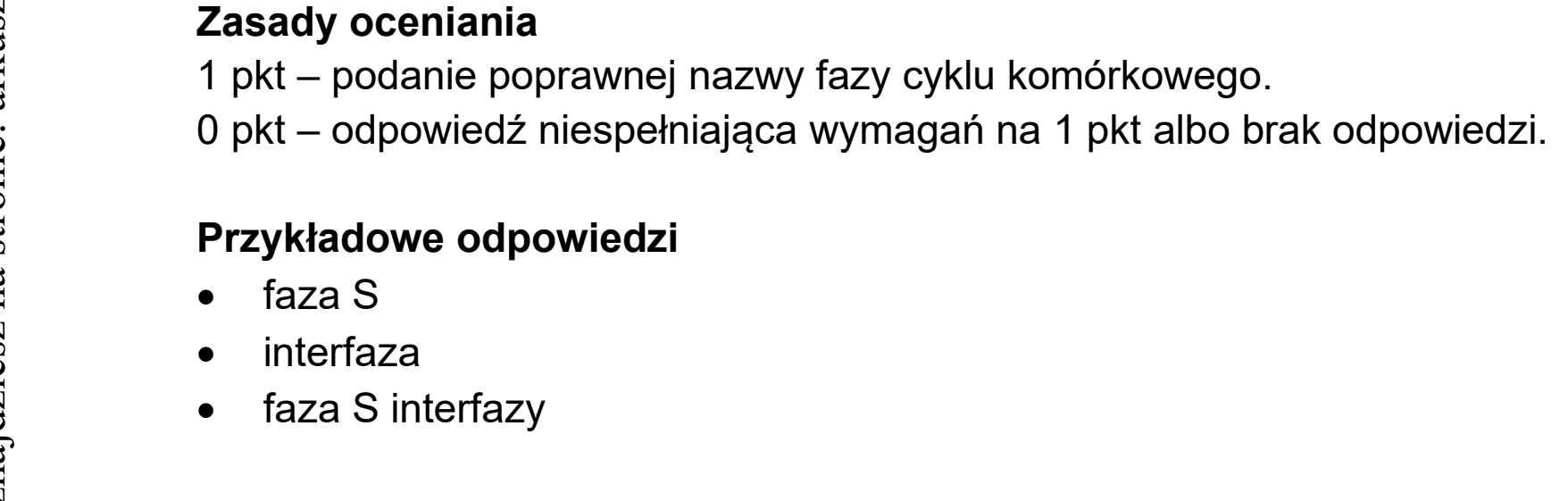 Matura, maj 2026, odpowiedź do zadania 17.3