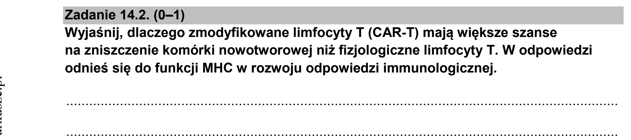 Matura, maj 2026, zadanie 14.2