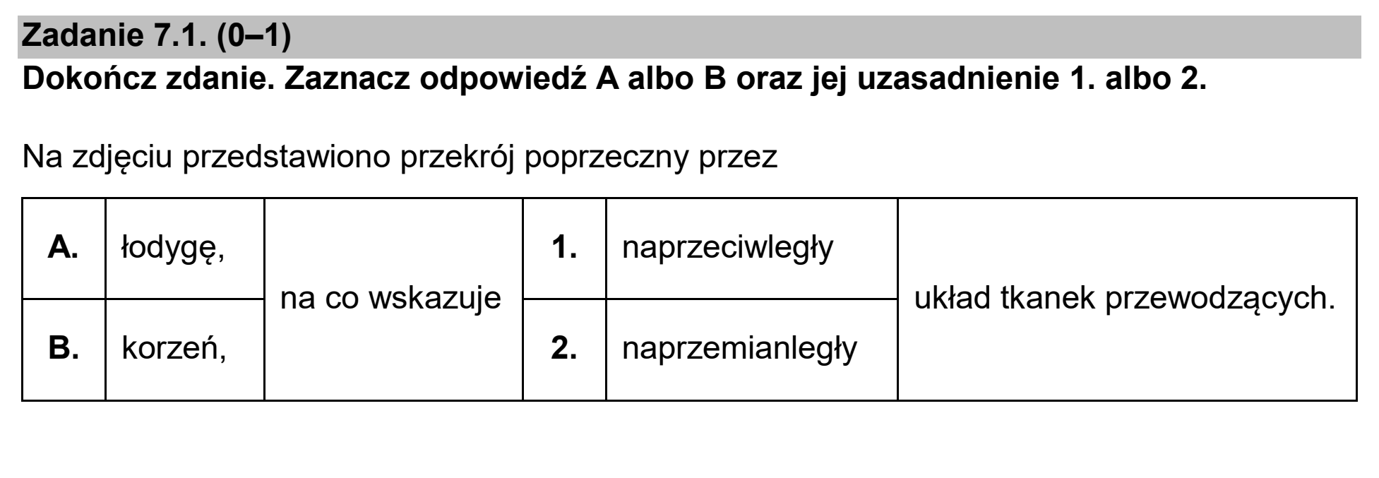 Matura, maj 2026, zadanie 7.1