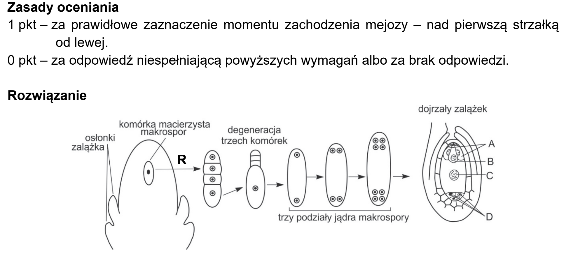 Matura próbna, marzec 2021, odpowiedź do zadania 6.1