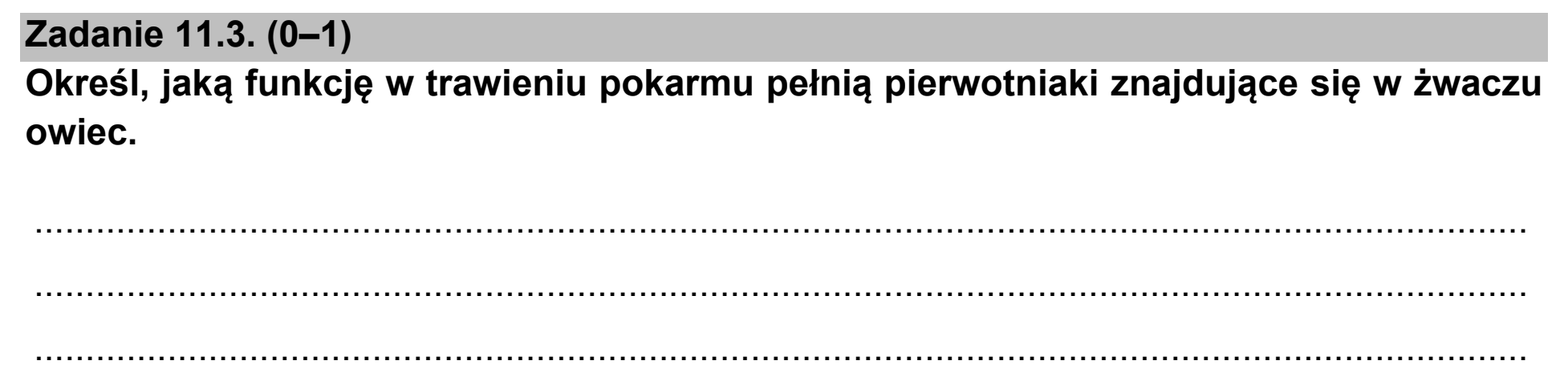 Matura próbna, marzec 2021, zadanie 11.3