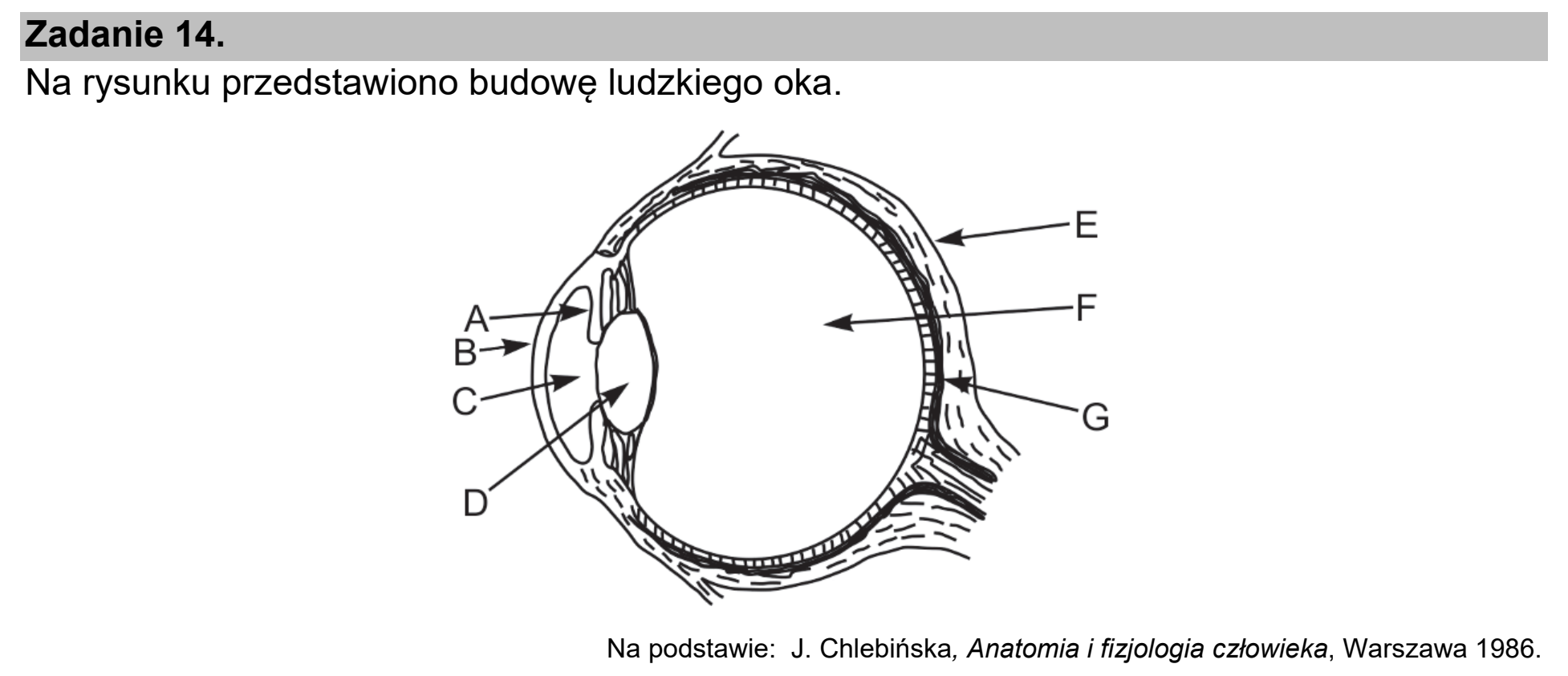 Matura próbna, marzec 2021, wstęp zadania 14
