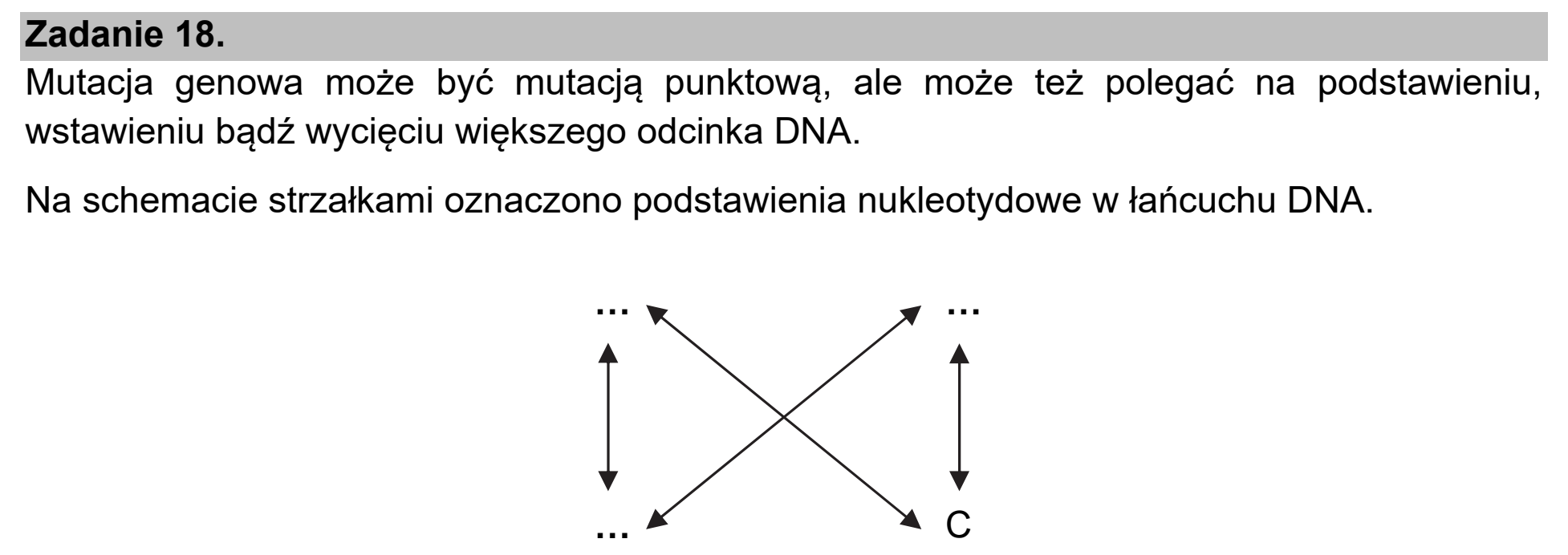 Matura próbna, marzec 2021, wstęp zadania 18