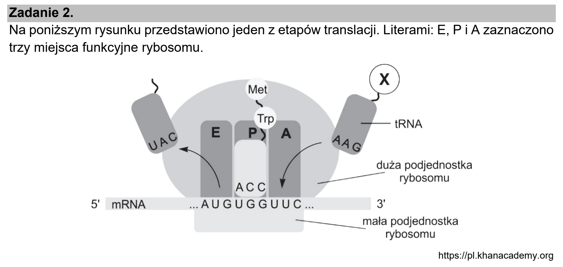 Matura próbna, marzec 2021, wstęp zadania 2