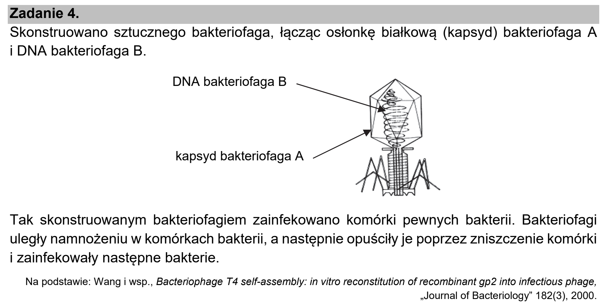 Matura próbna, marzec 2021, wstęp zadania 4