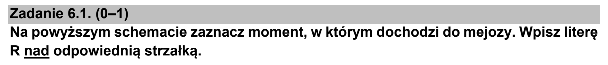 Matura próbna, marzec 2021, zadanie 6.1