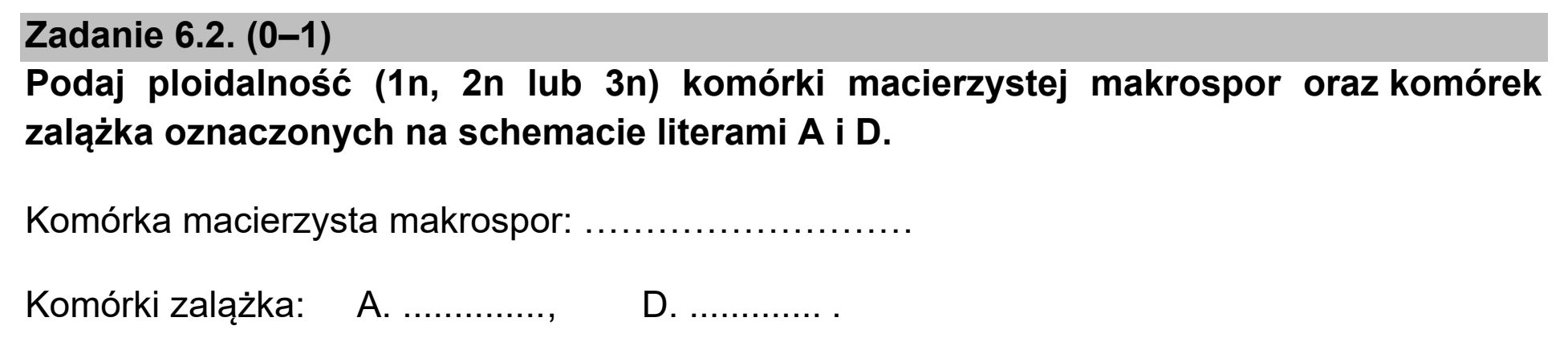 Matura próbna, marzec 2021, zadanie 6.2