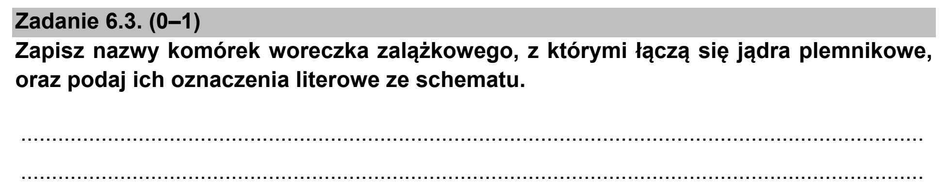Matura próbna, marzec 2021, zadanie 6.3