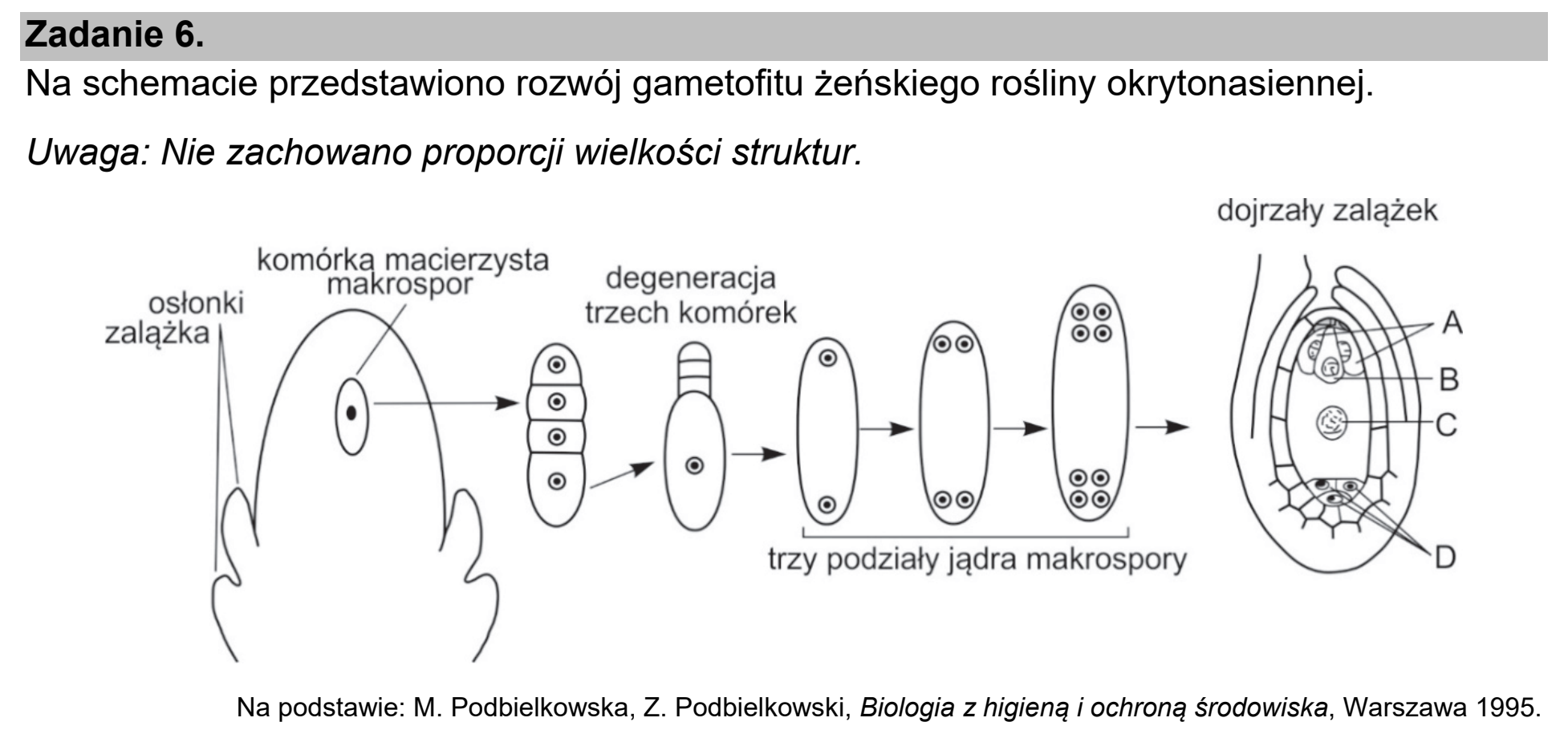 Matura próbna, marzec 2021, wstęp zadania 6