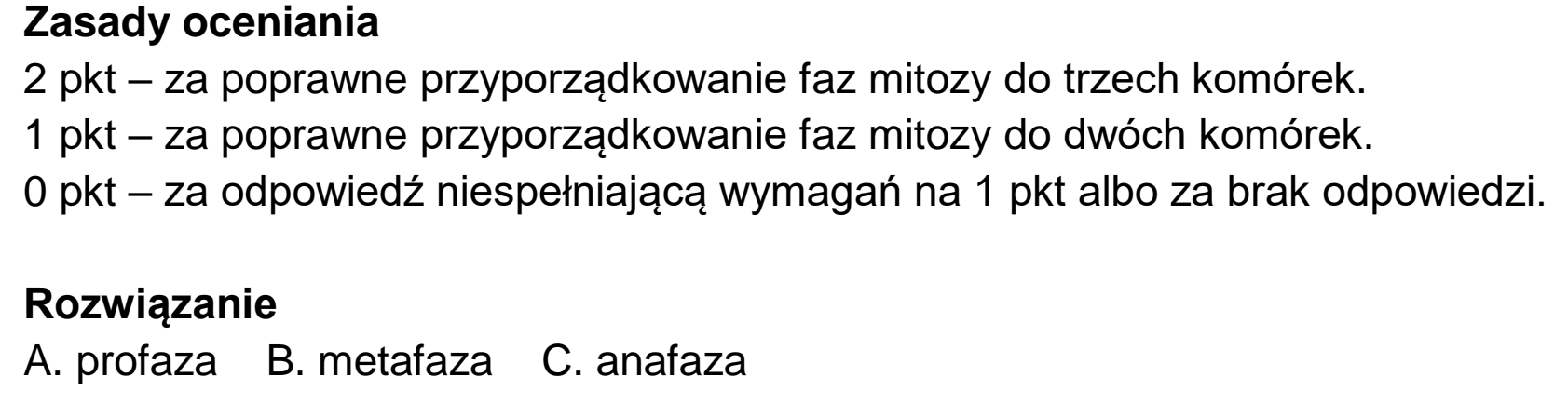 Matura dodatkowa, czerwiec 2023, odpowiedź do zadania 5.2