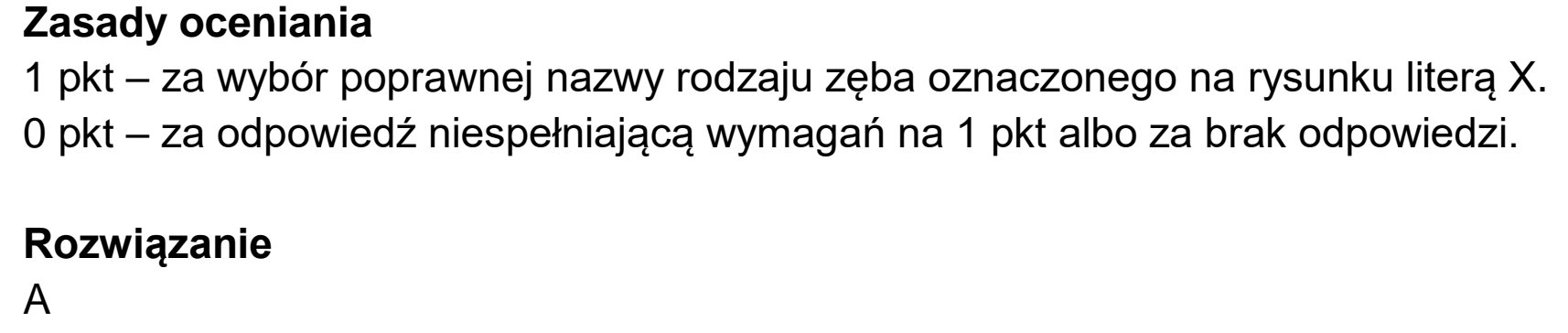 Matura dodatkowa, czerwiec 2023, odpowiedź do zadania 9.2