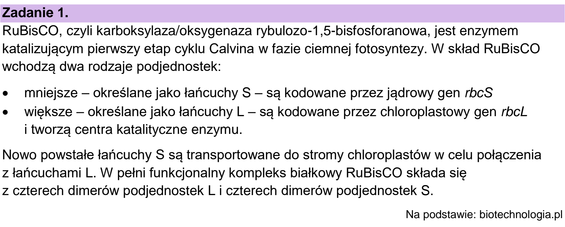 Matura dodatkowa, czerwiec 2023, wstęp zadania 1