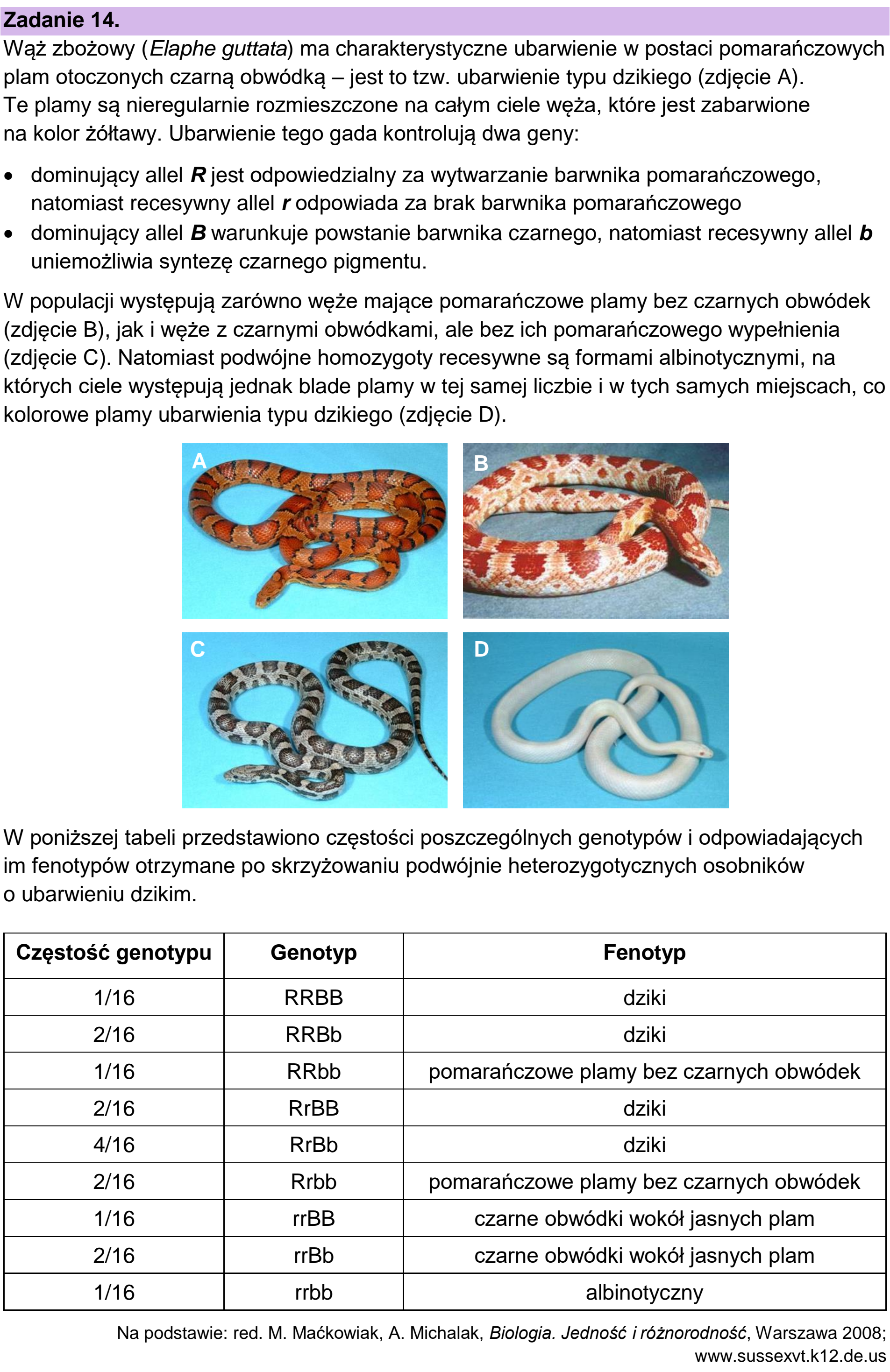 Matura dodatkowa, czerwiec 2023, wstęp zadania 14