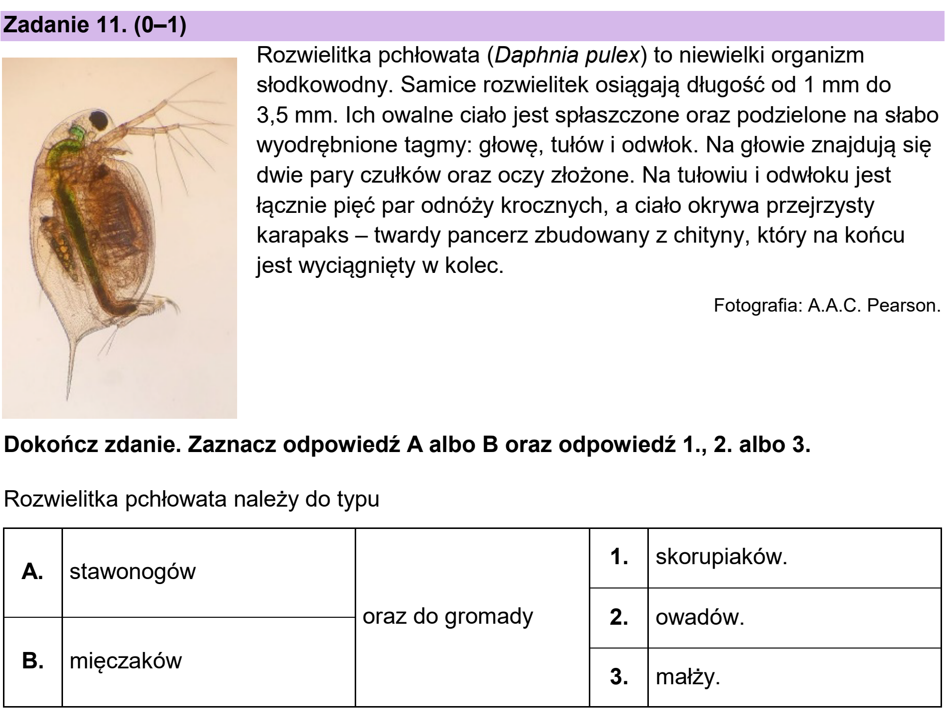 Matura dodatkowa, czerwiec 2024, zadanie 11