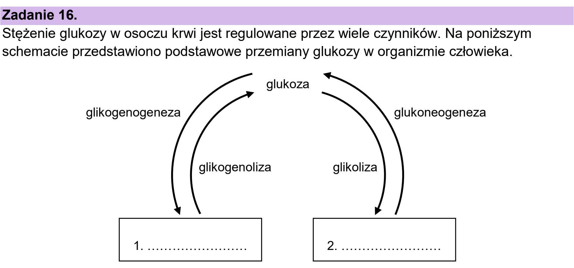 Matura dodatkowa, czerwiec 2024, wstęp zadania 16