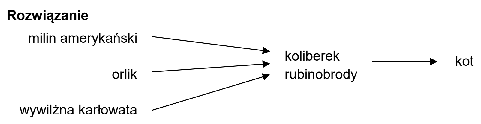 Matura dodatkowa, czerwiec 2025, odpowiedź do zadania 22.1, fragment 2