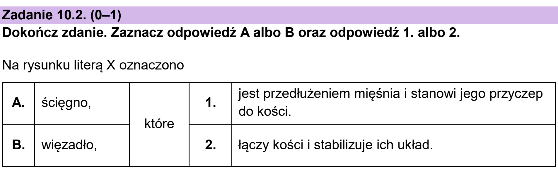 Matura dodatkowa, czerwiec 2025, zadanie 10.2