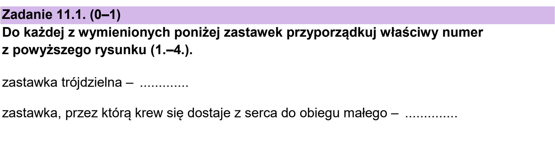 Matura dodatkowa, czerwiec 2025, zadanie 11.1