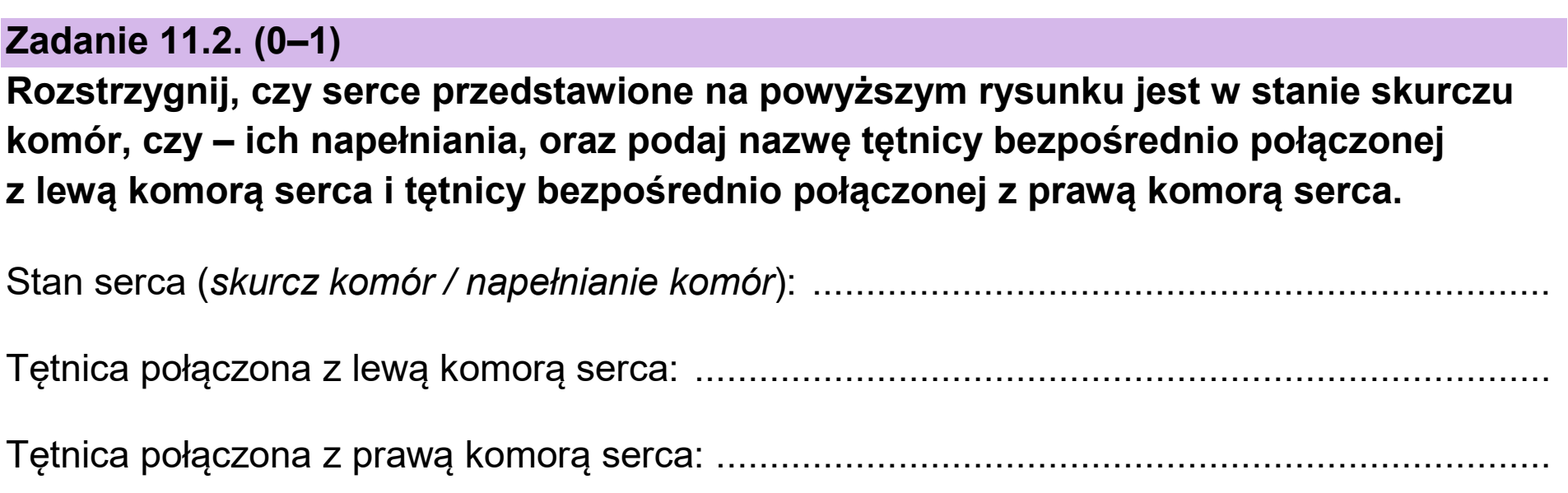 Matura dodatkowa, czerwiec 2025, zadanie 11.2