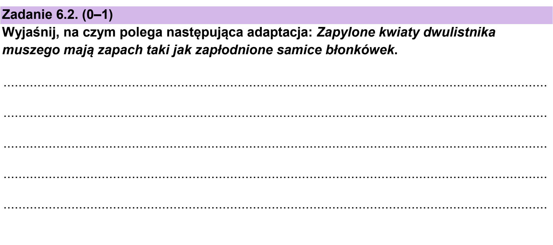 Matura dodatkowa, czerwiec 2025, zadanie 6.2