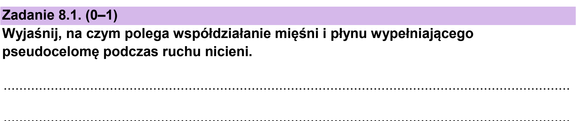 Matura dodatkowa, czerwiec 2025, zadanie 8.1