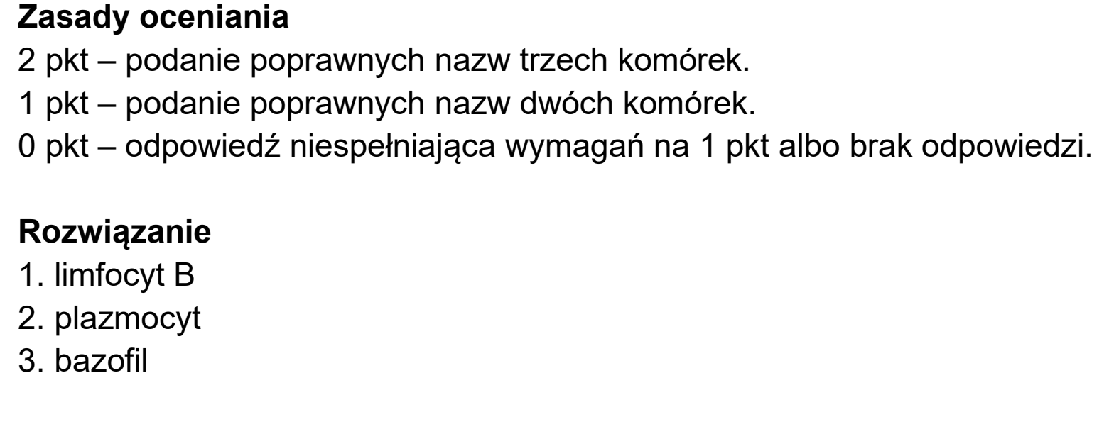 Matura dodatkowa, czerwiec 2026, odpowiedź do zadania 11.1