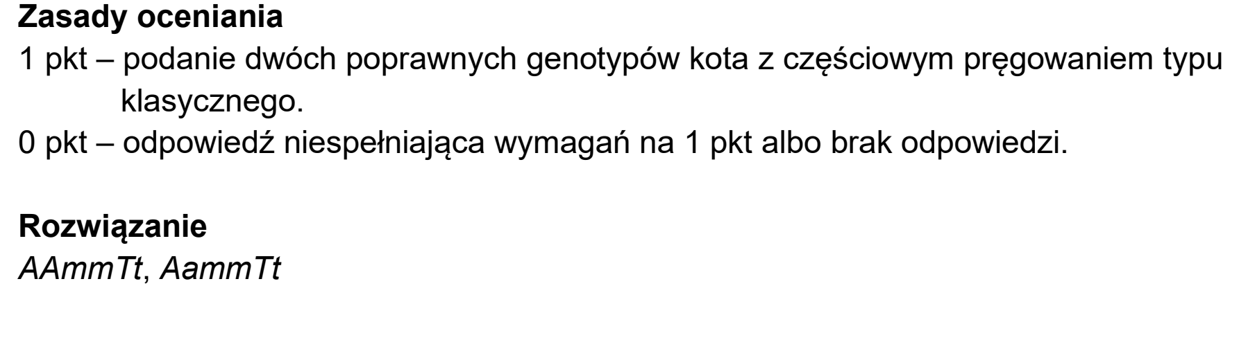 Matura dodatkowa, czerwiec 2026, odpowiedź do zadania 14.1