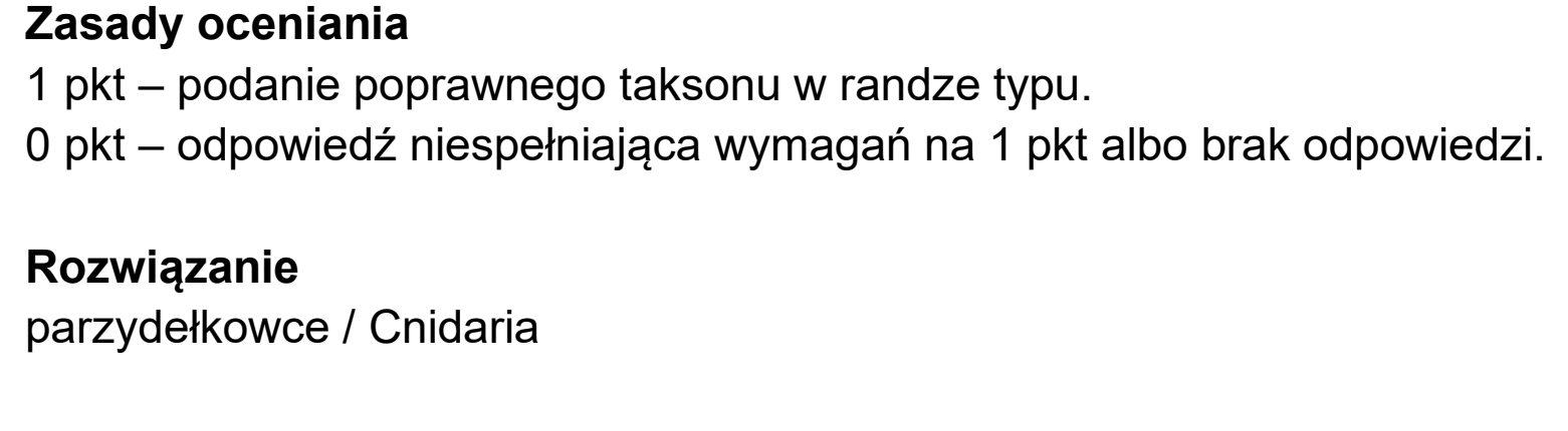 Matura dodatkowa, czerwiec 2026, odpowiedź do zadania 9.1