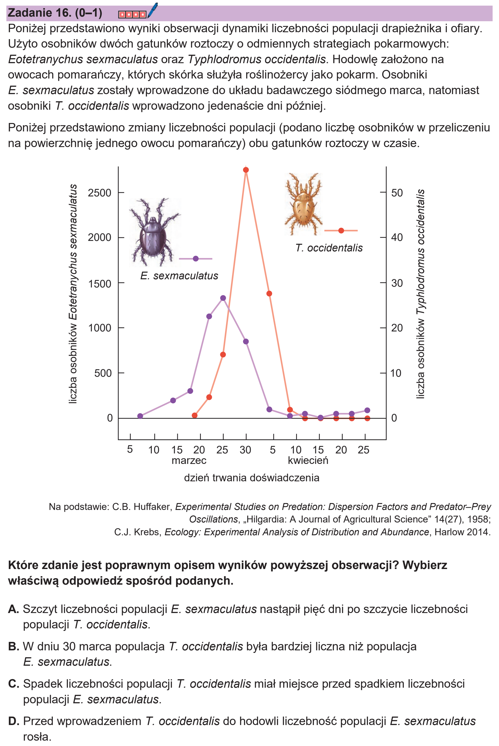 Matura dodatkowa, czerwiec 2026, podgląd zadania 16
