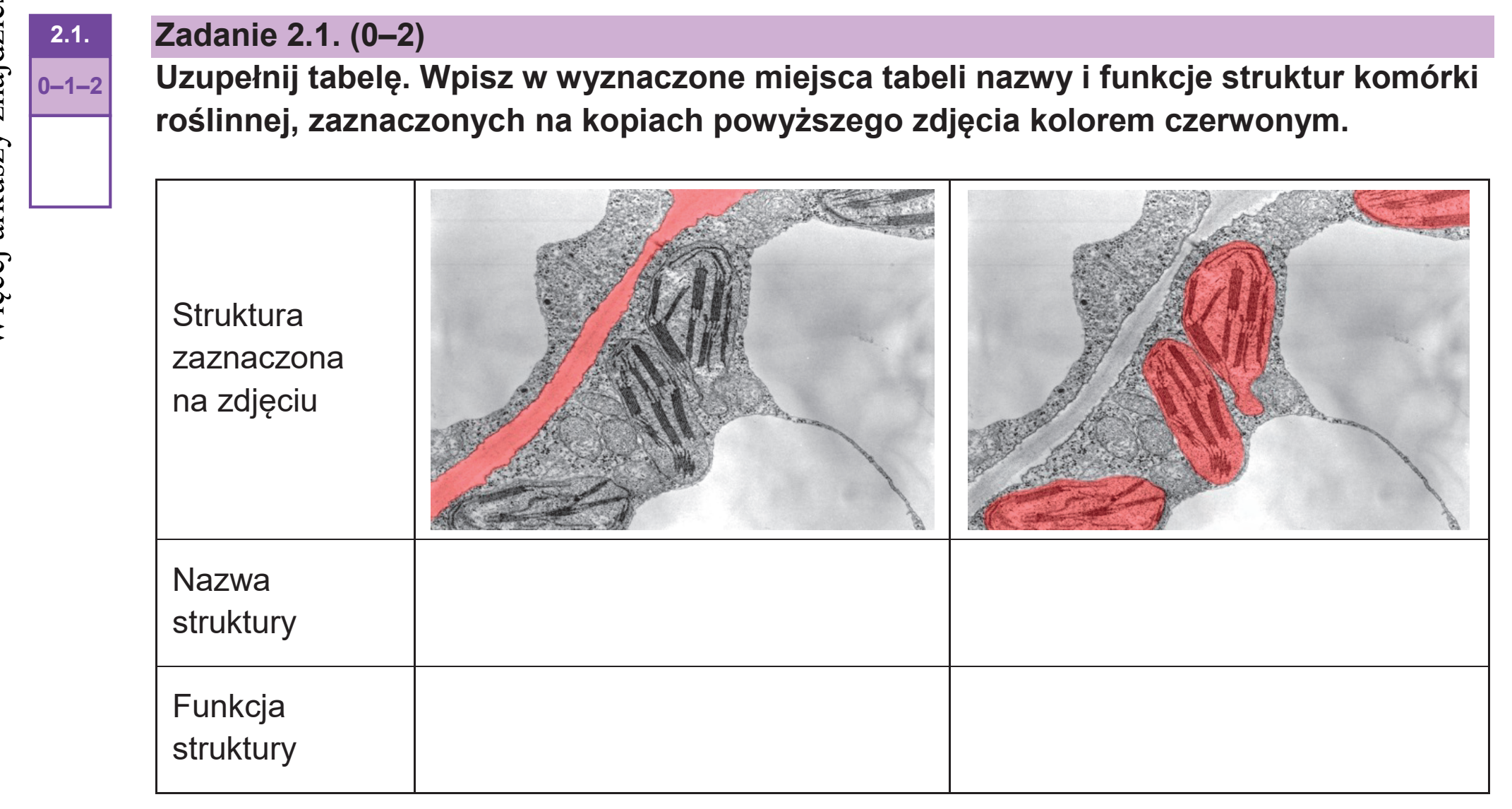 Matura dodatkowa, czerwiec 2026, zadanie 2.1