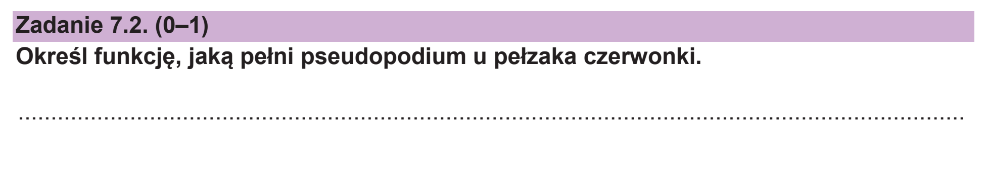 Matura dodatkowa, czerwiec 2026, zadanie 7.2