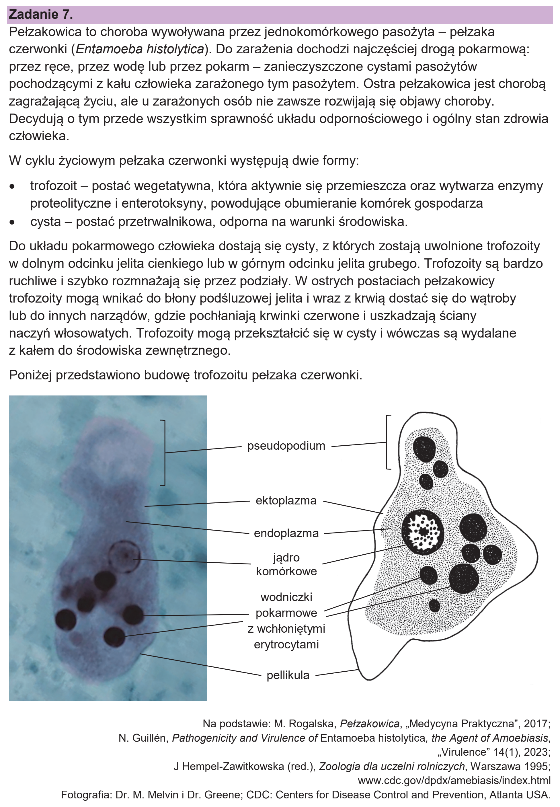Matura dodatkowa, czerwiec 2026, wstęp zadania 7
