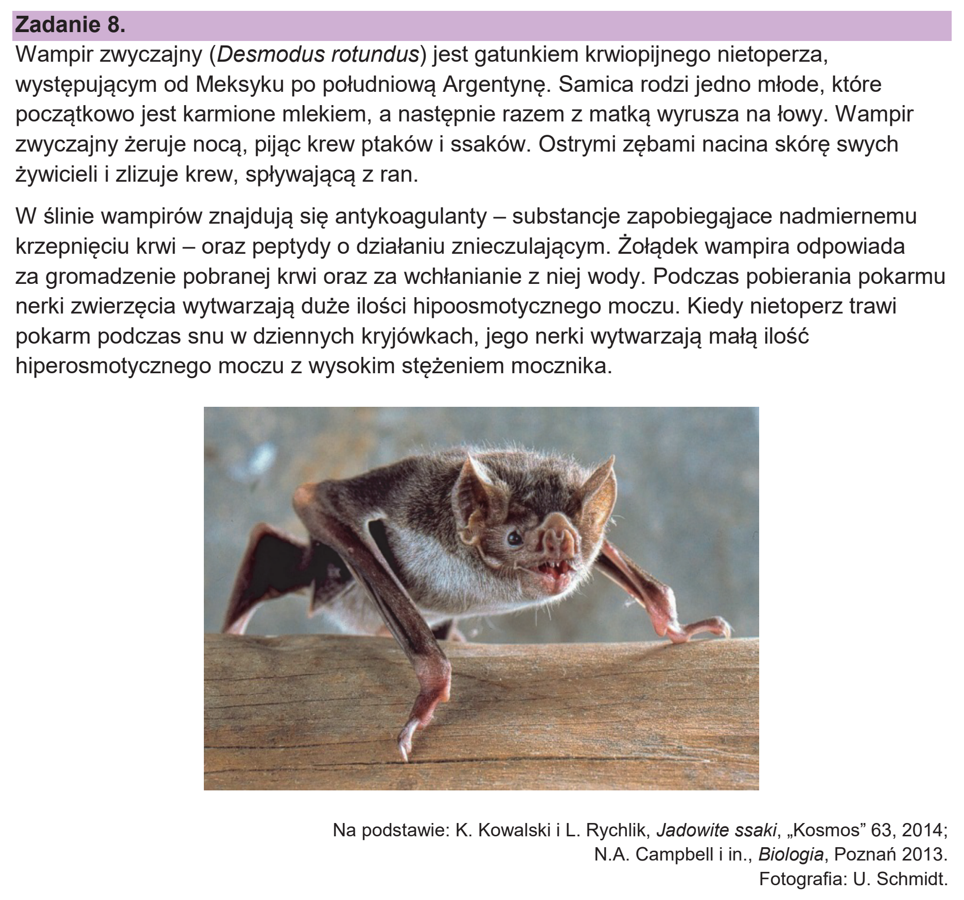 Matura dodatkowa, czerwiec 2026, wstęp zadania 8