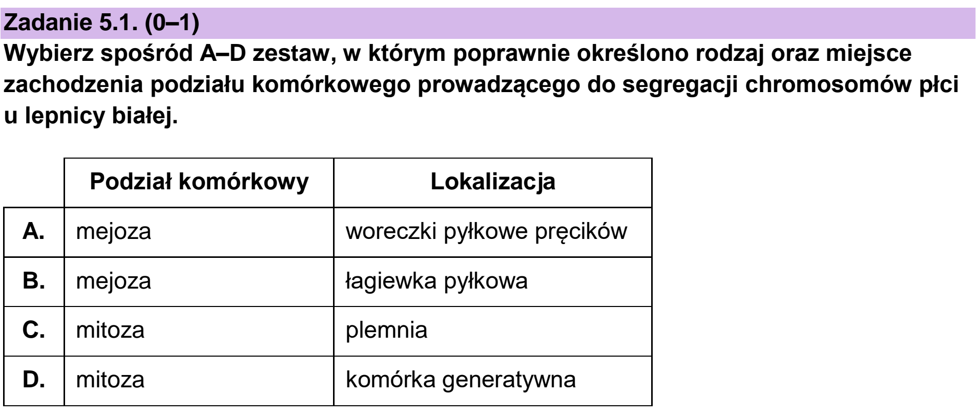 Matura próbna, grudzien 2022, zadanie 5.1