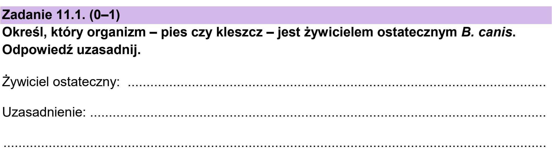 Matura próbna, grudzien 2024, zadanie 11.1