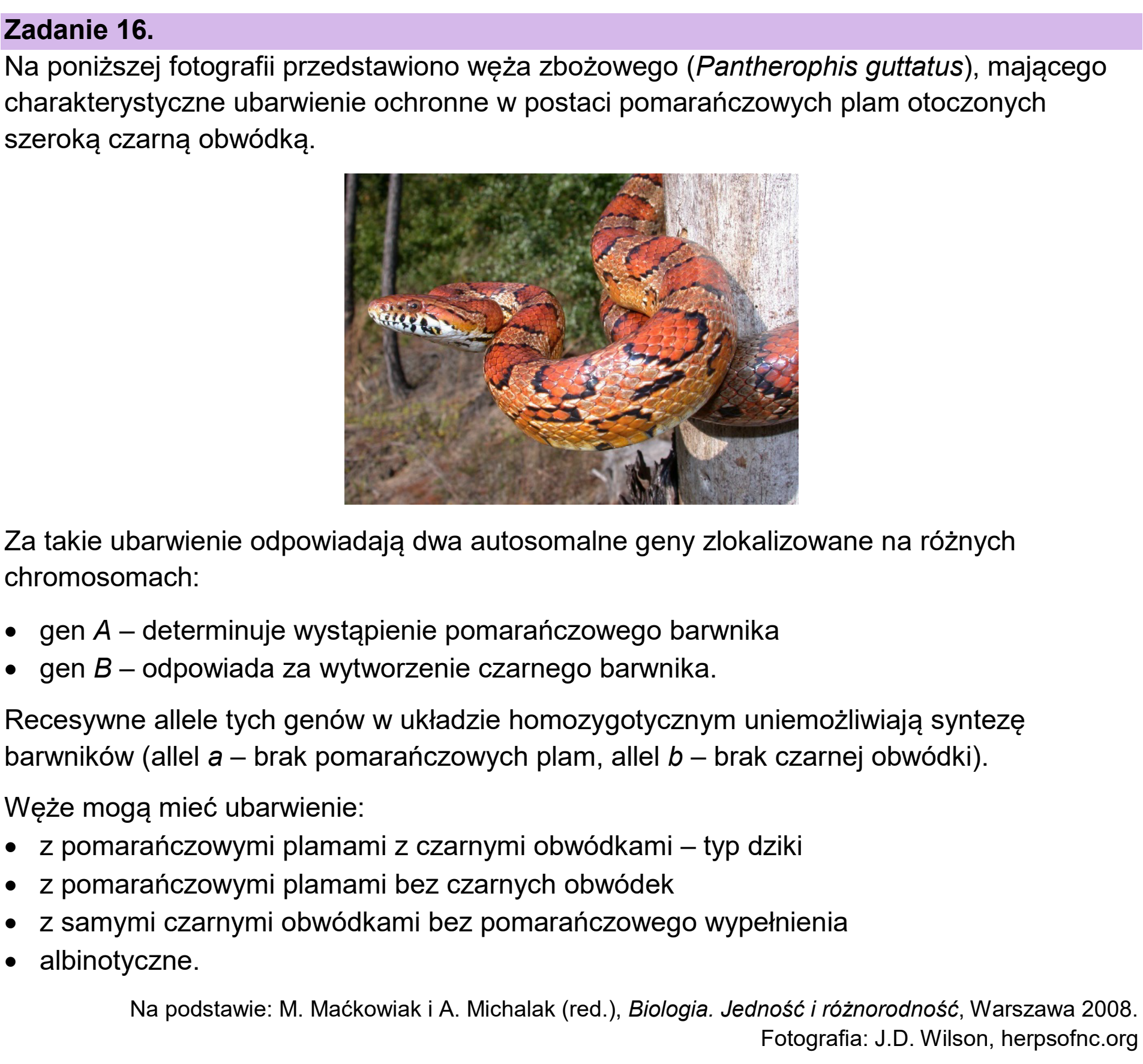 Matura próbna, grudzien 2024, wstęp zadania 16